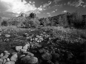 brook, trees, viewes, Stones