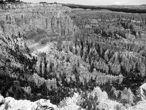 canyon, trees, viewes, rocks