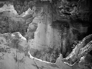 canyon, trees, viewes, rocks