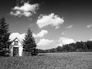 chapel, trees, viewes, Meadow