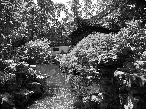 trees, Stones, Szanghai, water, Garden, viewes, China