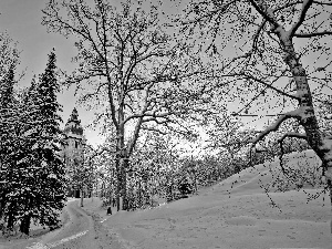 viewes, Church, Snowy, trees, dawn