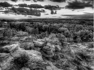 viewes, clouds, rocks, trees, Great Sunsets