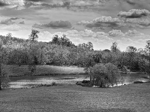 viewes, clouds, Meadow, trees, River