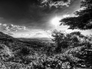 clouds, trees, viewes, sun