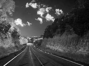 viewes, clouds, rocks, trees, Way