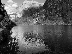 viewes, Conifers, Mountains, trees, lake