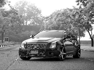 viewes, Way, CTS-V, trees, Cadillac