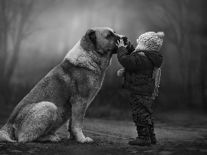 Trees Bullmastiff, dog, Kid