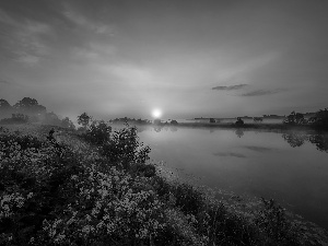 viewes, Flowers, Latvia, Fog, Latgale, trees, Dubna River, Sunrise