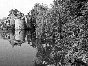 trees, lake, Kent, Flowers, Castle, viewes, England