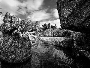 viewes, Flamingos, rocks, trees, River