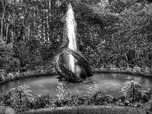 viewes, Flowers, Garden, trees, fountain