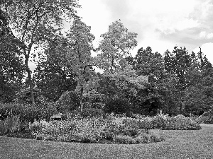 viewes, Park, Flowers, Bench, Flower-beds, trees