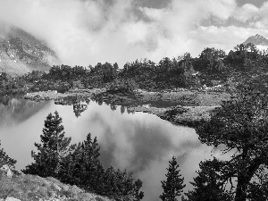 viewes, Fog, Mountains, trees, lake