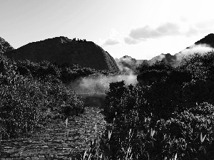 viewes, Fog, hills, trees, River