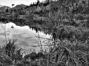 viewes, grass, lake, trees, Mountains