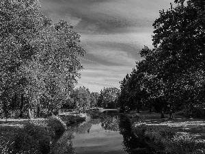 viewes, grass, River, trees, Park