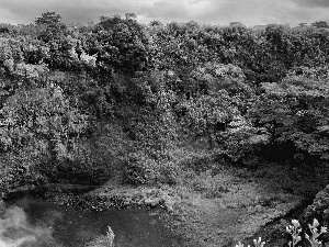 viewes, rocks, green ones, trees, waterfall