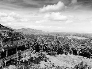 house, trees, viewes, Sky