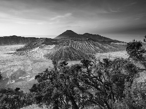 viewes, indonesia, Bromo, trees, mountains