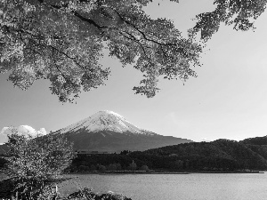 woods, Fuji, viewes, Japan, trees, lake