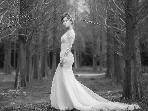 wedding, young lady, trees, Dress, Women, forest, viewes