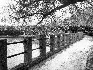 lake, trees, viewes, boulevard