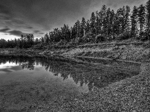 lake, trees, viewes, coast