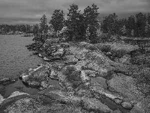 viewes, pine, Russia, rocks, grass, trees, Lake Ladoga, Tufts