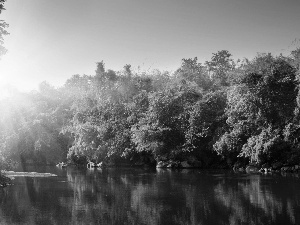 lake, trees, viewes, sun