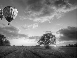 trees, west, Flowers, sun, Balloons, viewes, lavender