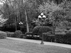 viewes, Lighthouse, flourishing, trees, Park