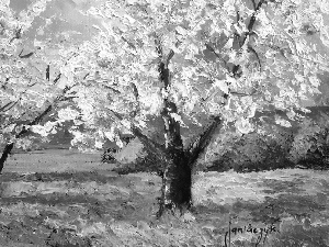 picture, trees, viewes, Jean Marc Janiaczyk