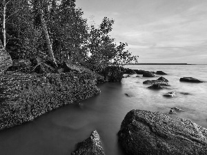 water, Stones, viewes, Moss, trees, turbid