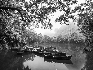 forest, boats, viewes, Mountains, trees, River