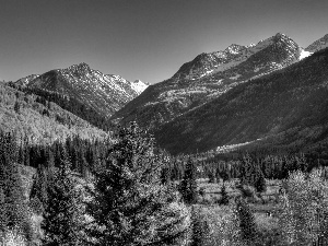 Mountains, trees, viewes, forest