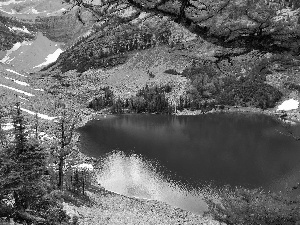 Mountains, trees, viewes, lake