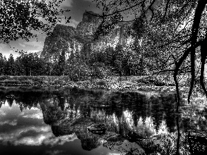 Mountains, trees, viewes, lake