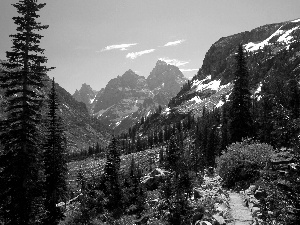 Mountains, trees, viewes, peaks