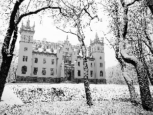 palace, trees, viewes, snow