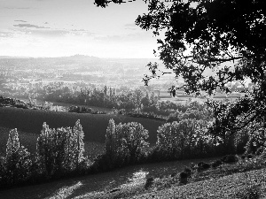 viewes, panorama, Way, trees, field