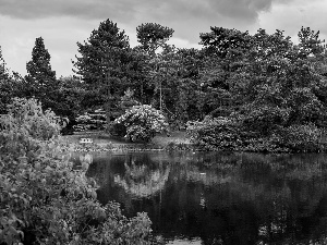 Park, trees, viewes, Pond - car