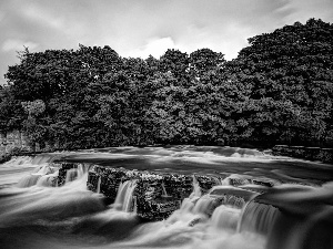 River, trees, viewes, cascade