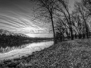 viewes, River, sun, trees, west