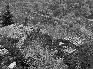 viewes, rocks, forest, trees, autumn