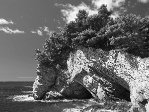 viewes, Rocks, clouds, trees, sea