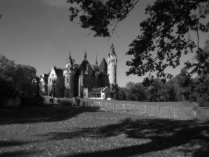 Towers, Castle, viewes, shadows, trees, scrotum