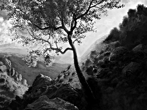 viewes, Sky, rocks, trees, Mountains