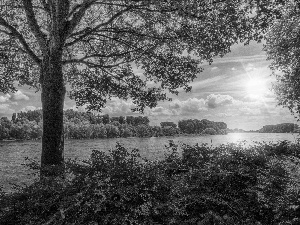 Sky, trees, viewes, River